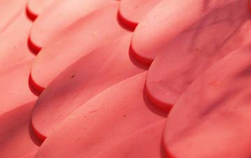 Little Heck plastic roof costs