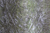 Little Heck fibreglass roof work